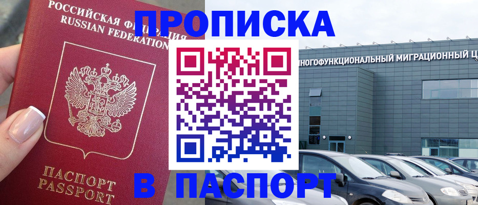 прописка для школы в Шумихе